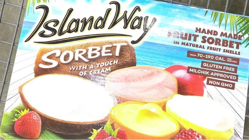 La Reveuse Frozen Sorbet Maker, Great for Making Healthy Soft Serve Sherbet,  Sorbet, Fruit Ice Cream, Frozen Yogurt for Kids, White